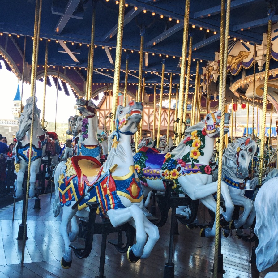 magic kingdom - carousel